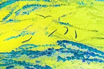 N 059D